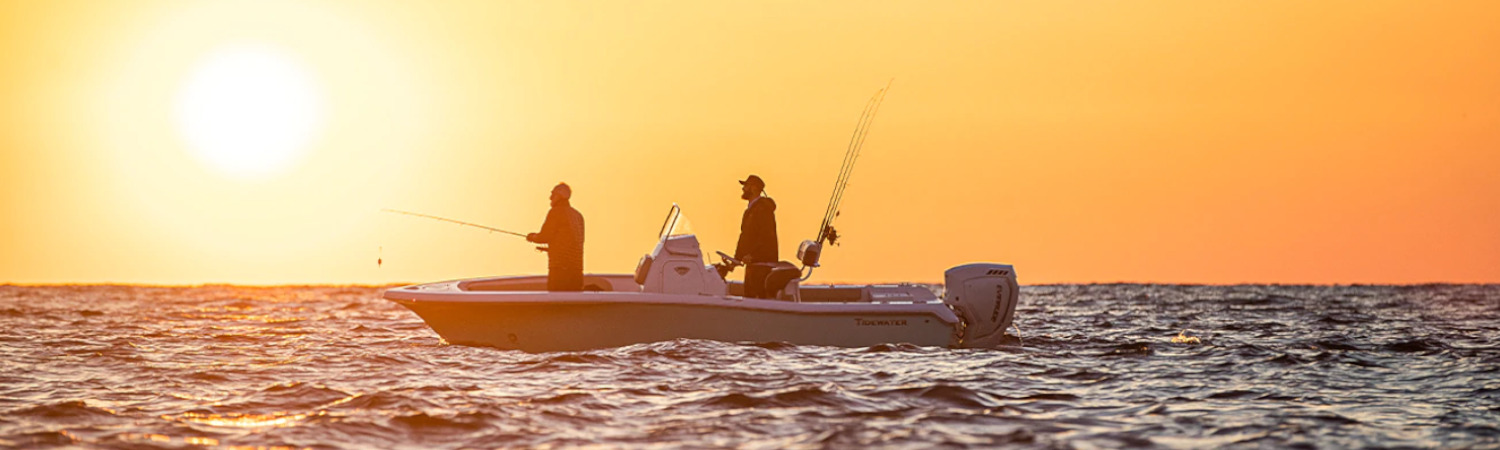 2021 Evinrude E TEC G2 for sale in Boater's World Marine Centers, Lake Placid, Bradenton, Florida and Albany, Georgia.